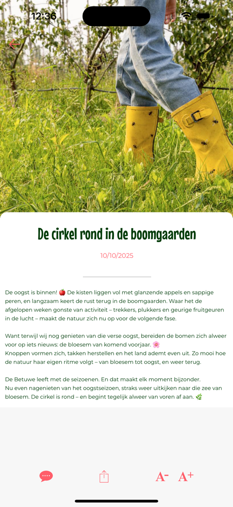 Bloesemalert - Article view in the Bloesemalert app with a photo of yellow boots in an orchard and Dutch text about the seasonal cycle of fruit trees.