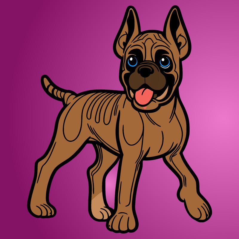 boxer dog with pointy ears