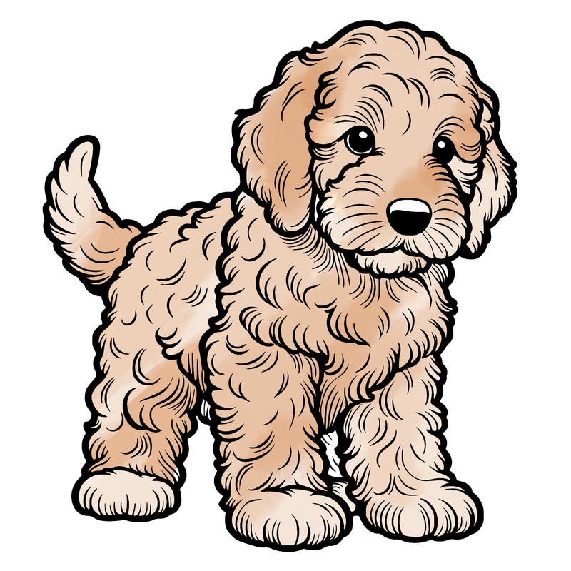 realistic labradoodle puppy