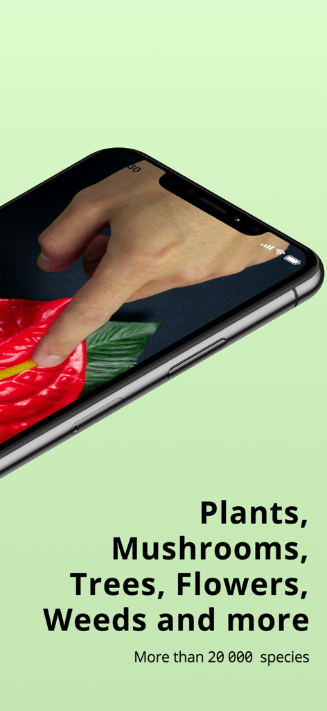 Écran de smartphone montrant l'application Plantion identifiant une fleur rouge avec le texte indiquant qu'elle peut identifier plus de 20000 espèces, y compris des plantes, des champignons et des arbres