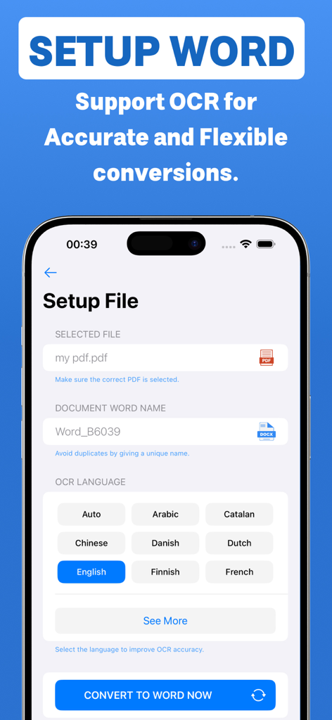 PDF to Word conversion setup screen with OCR language options
