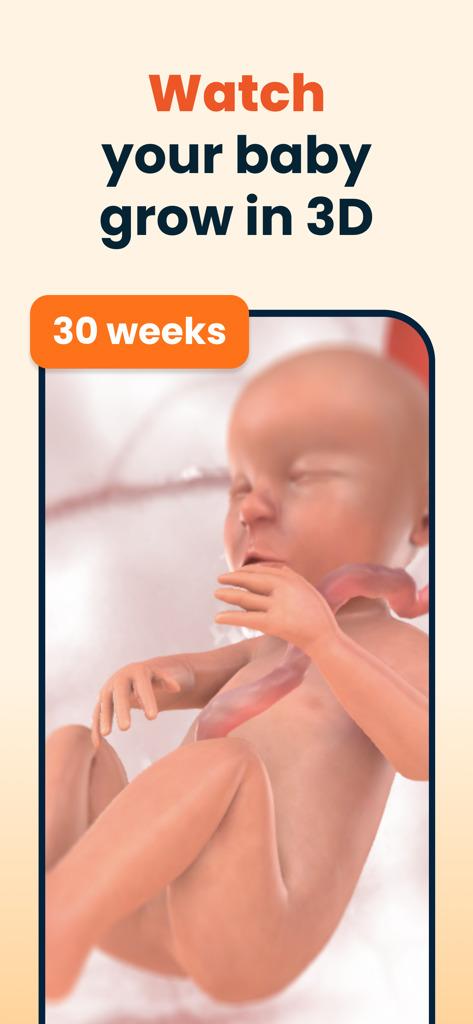 A 3D visualization of a fetus at 30 weeks of development within the HiDaddy app