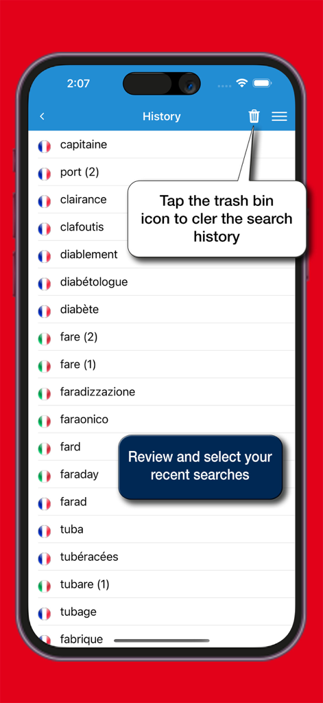 il Sansoni Francese - Search history screen of the il Sansoni Francese dictionary app showing recent Italian and French word lookups