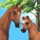 Star Stable: Horses