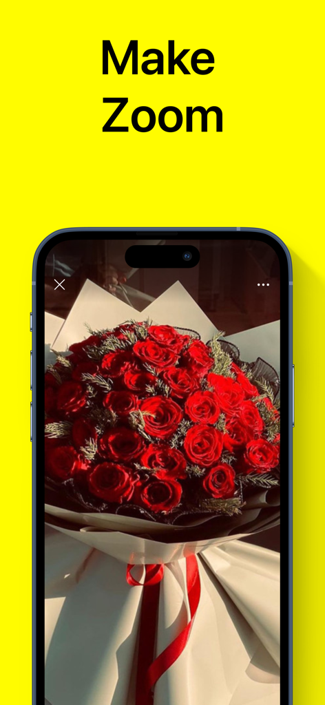 SnapSaver - Story Snap Saver - SnapSaver app interface showing a zoom feature on a red rose bouquet