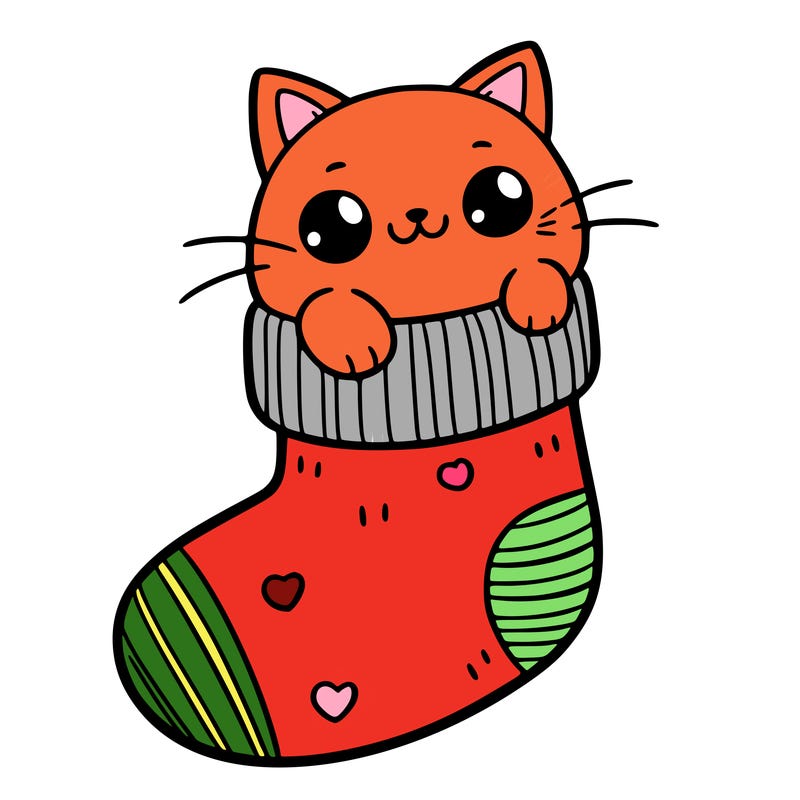 cute cat in a sock