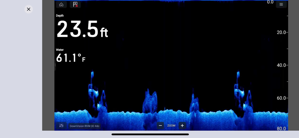 Raymarine - Interface de l'application Raymarine affichant le sonar DownVision avec des lectures de profondeur et de température