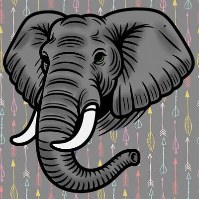 african elephant head