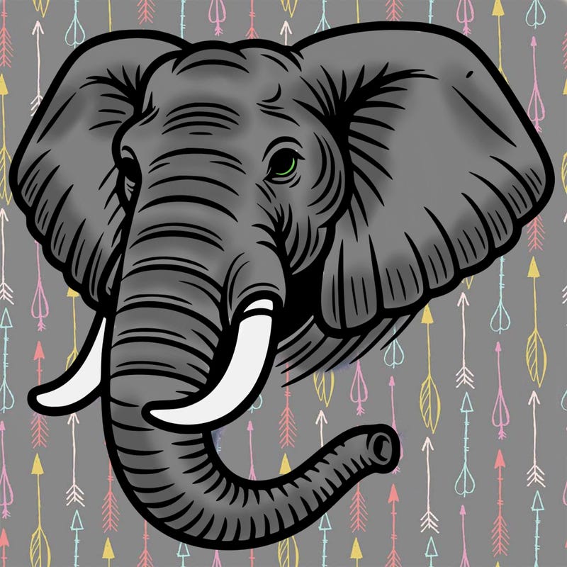 african elephant head