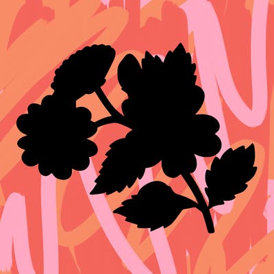 flowers_11