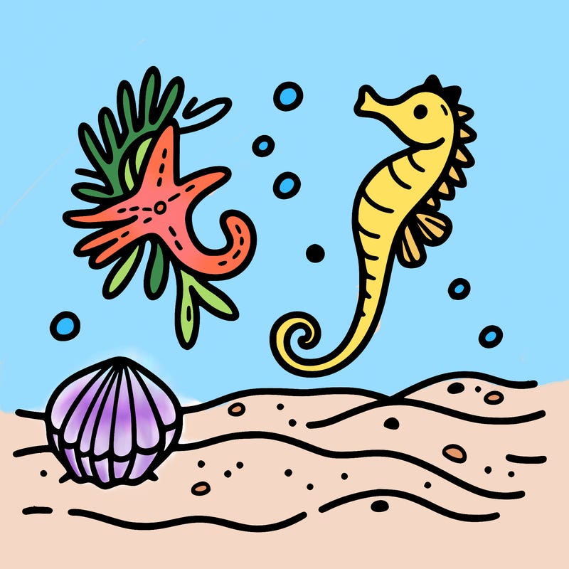 sand, sea horse, starfish