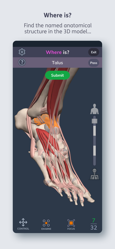 Primal's 3D Human Anatomy Quiz - Una interfaz de cuestionario de anatomía 3D que muestra un modelo de pie con el hueso del astrágalo resaltado para su identificación