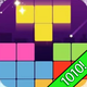 1010! Tetris Puzzle