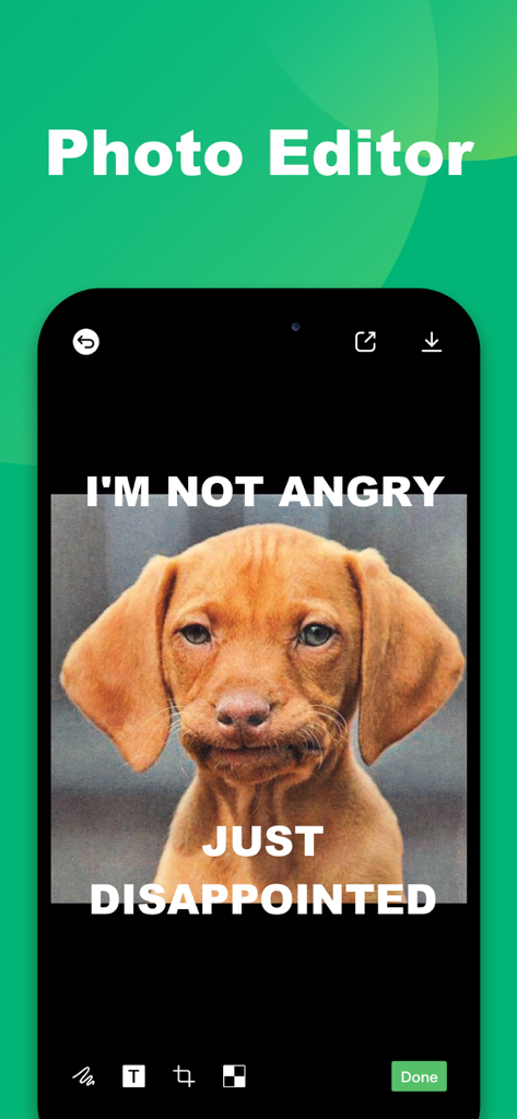 Éditeur de photos de l'application WA Web montrant un mème avec un chien et un texte superposé