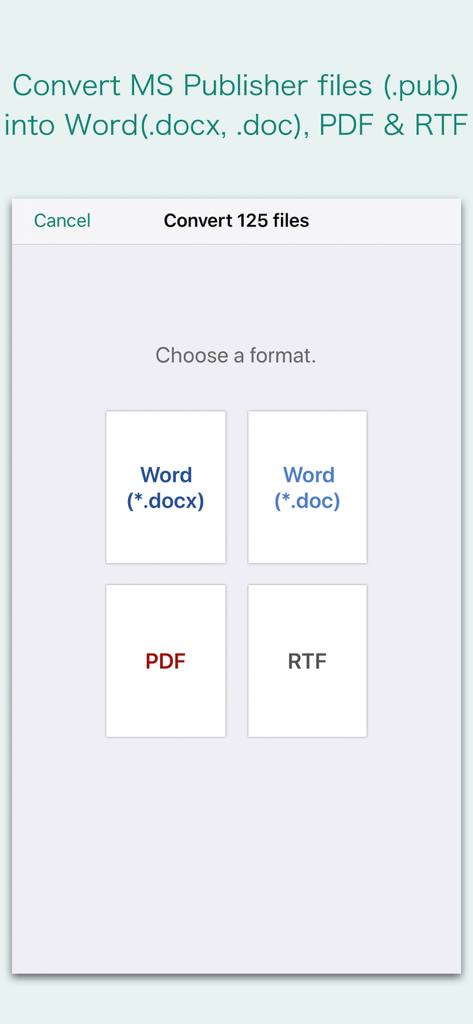 Microsoft PublisherファイルをWord、PDF、またはRTF形式に変換するための形式オプションを表示するインターフェース