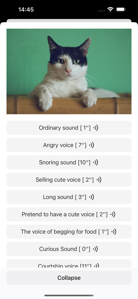 SoundHub - No Ads - A mobile app screen displaying a cat photo and a list of selectable cat sounds for educational learning