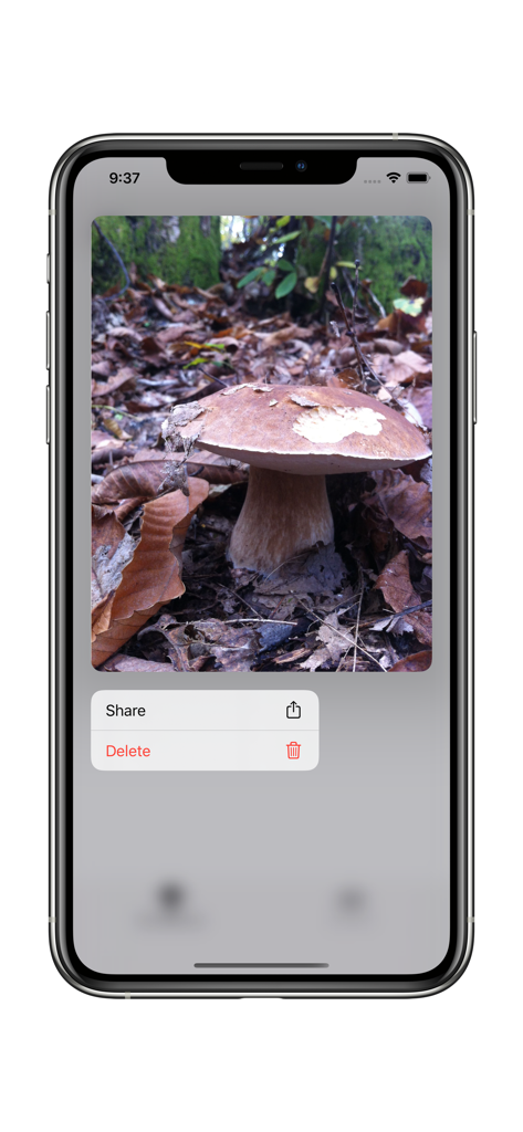 Track My Mushrooms - Smartphone screen showing a photo of a wild mushroom with share and delete menu options