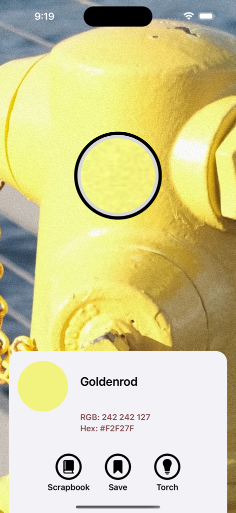 What's That Color? - Visão da câmera identificando a cor Goldenrod com valores RGB e Hex no aplicativo O Que É Essa Cor?