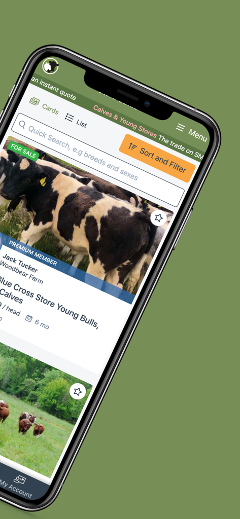 SellMyLivestock - SellMyLivestock app interface showing listings of calves and bulls for sale.