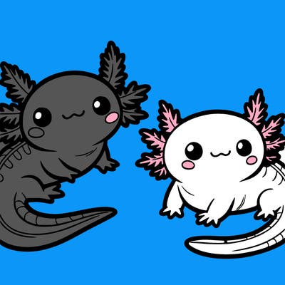 cute axolotls