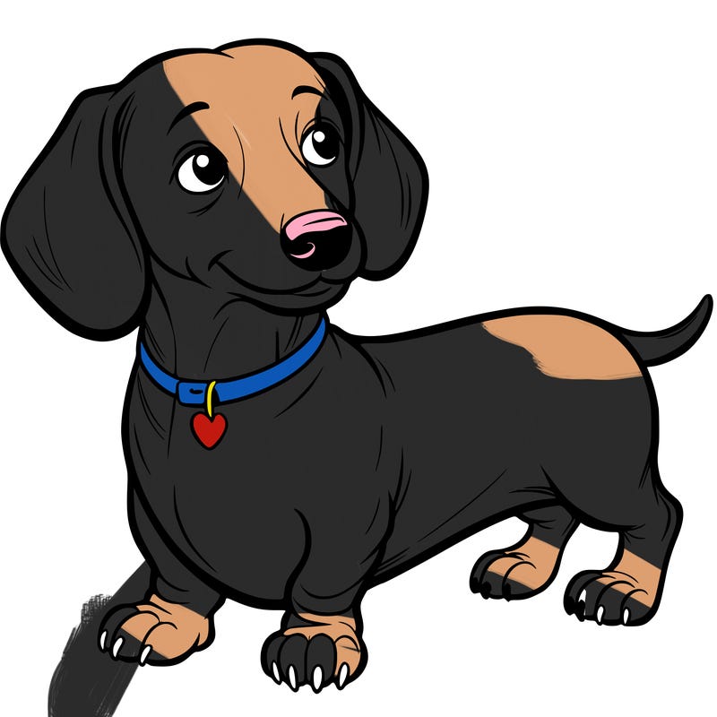 dachshund