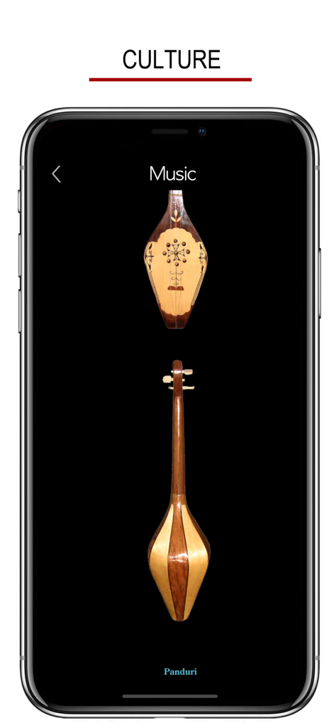 Captura de tela do aplicativo Palavras e Escrita Georgiana mostrando a seção de cultura apresentando o instrumento musical Panduri.