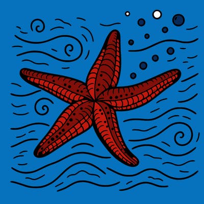 flying starfish