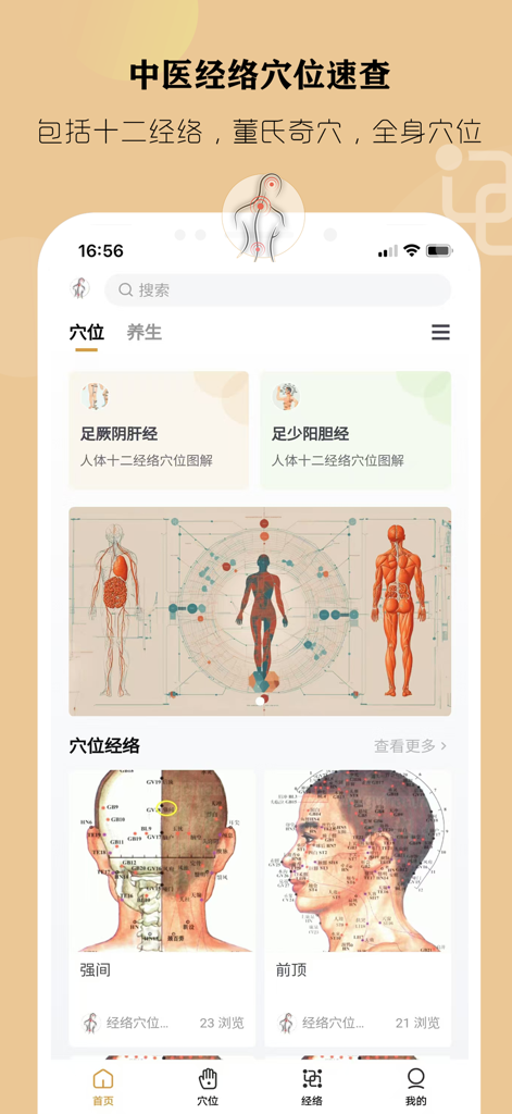 Mobile App-Oberfläche für die Erlernung von Meridianen und Akupunkturpunkten der Traditionellen Chinesischen Medizin mit 3D-anatomischen Modellen