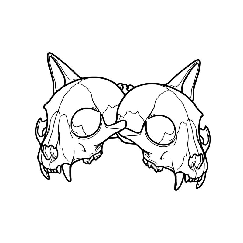 two headed skull, cat