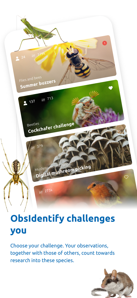 Ein mobiler Bildschirm, der Naturbeobachtungsherausforderungen in der ObsIdentify-App zeigt