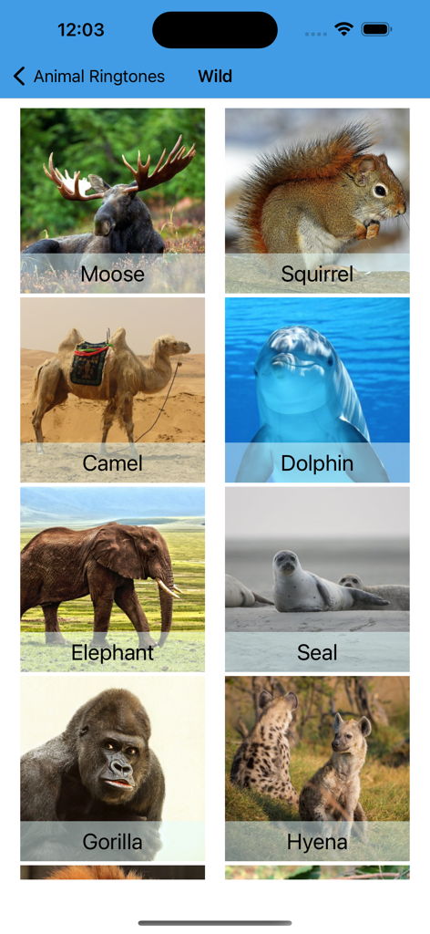 Una pantalla que muestra varias opciones de timbres de animales salvajes, incluyendo un alce, una ardilla y un camello.