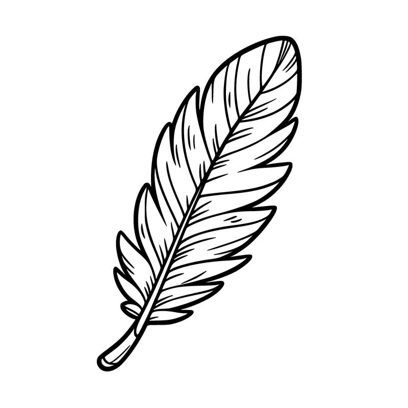 feather