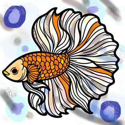 betta fish