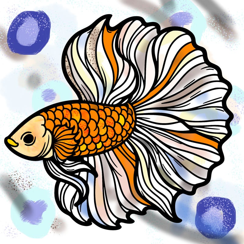 betta fish