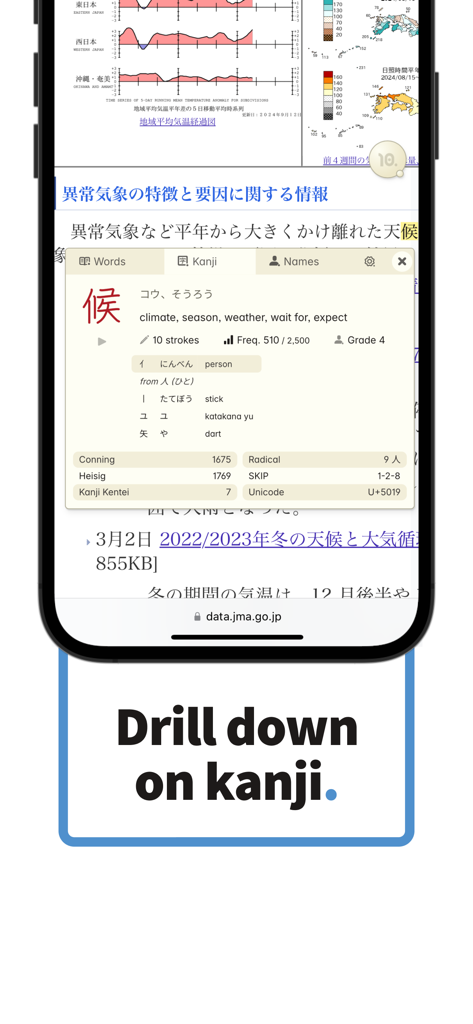 10ten Japanese Reader - Detailed kanji lookup information in the 10ten Japanese Reader Safari extension on iPhone