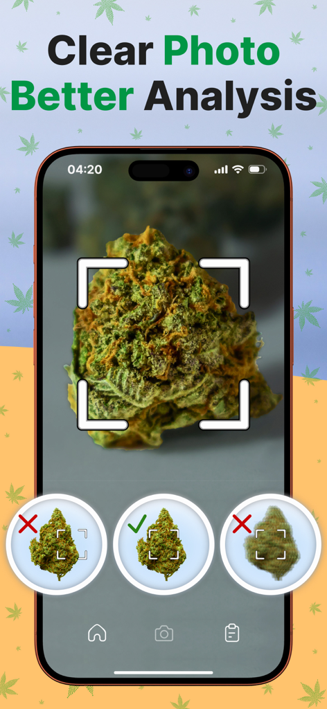 Smartphone screen showing how to take a clear photo of a cannabis bud for weed strain analysis
