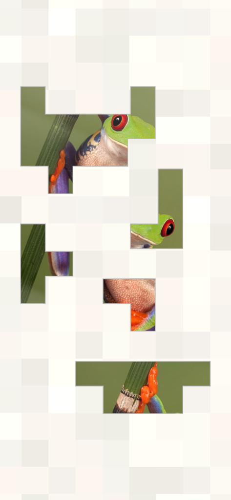 미니멀리스트 인터페이스에서 진행 중인 빨간 눈 나무 개구리 직소 퍼즐