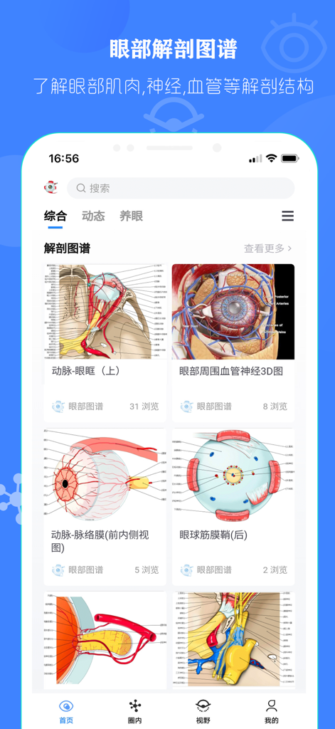 眼部解剖图 - 眼部结构精美全息科普插图 - Oberfläche der Eye Anatomy Atlas Mobile App, die verschiedene detaillierte medizinische Diagramme von Augenstrukturen für Studenten und Fachleute anzeigt