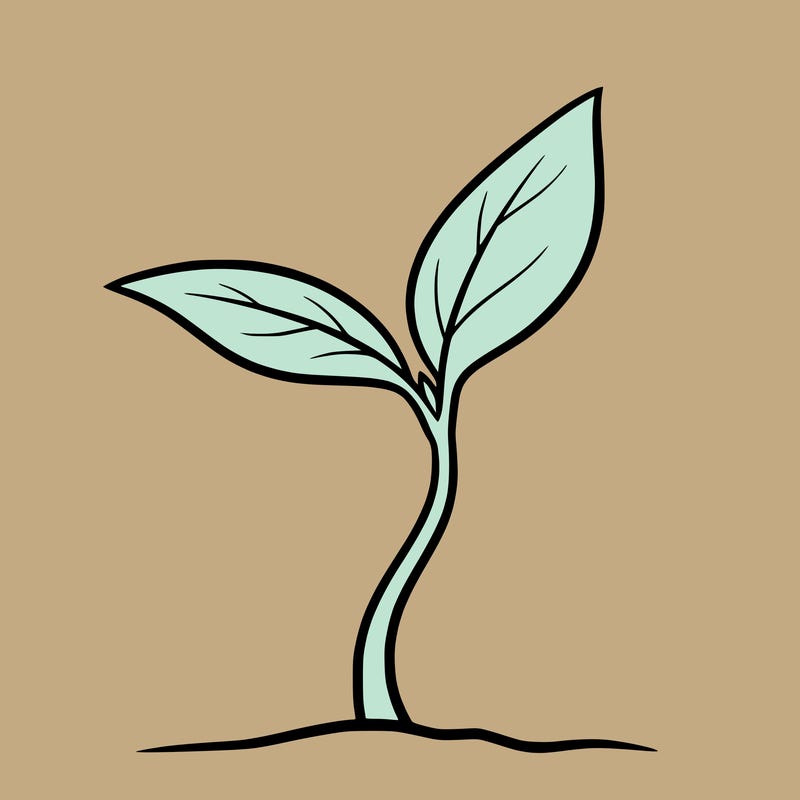 1 tiny sprout