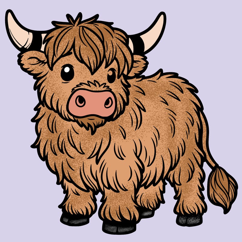 highland cow