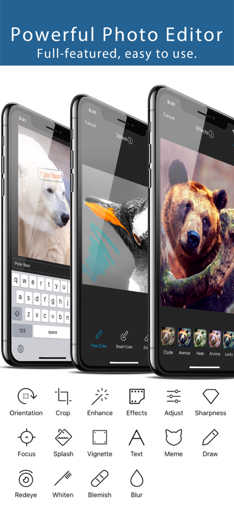 Mobile app interface of Squaready Pro showing photo editing tools including text filters and color splash
