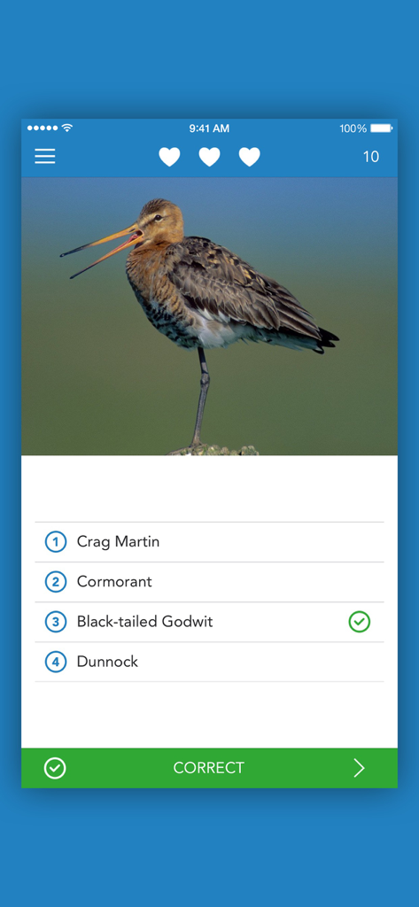 iKnow Birds 2 PRO - Europe - Mobile app screenshot of a bird identification quiz showing a correct answer for a Black-tailed Godwit.
