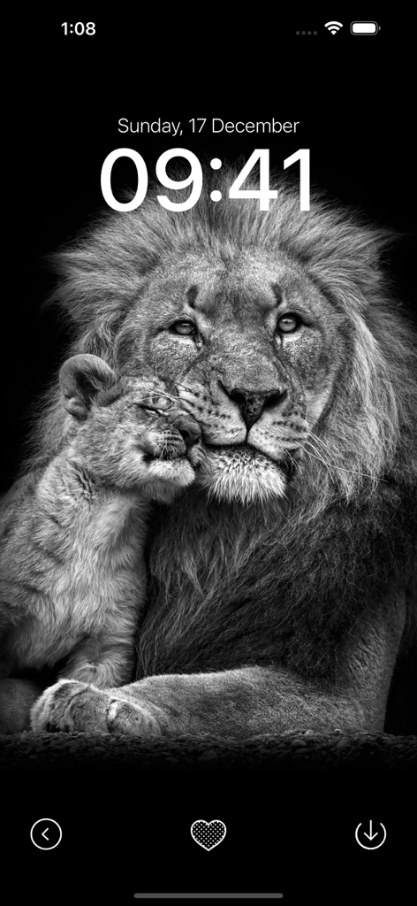 Black Wallpaper App - Black and white lion and cub wallpaper preview on an iPhone lock screen