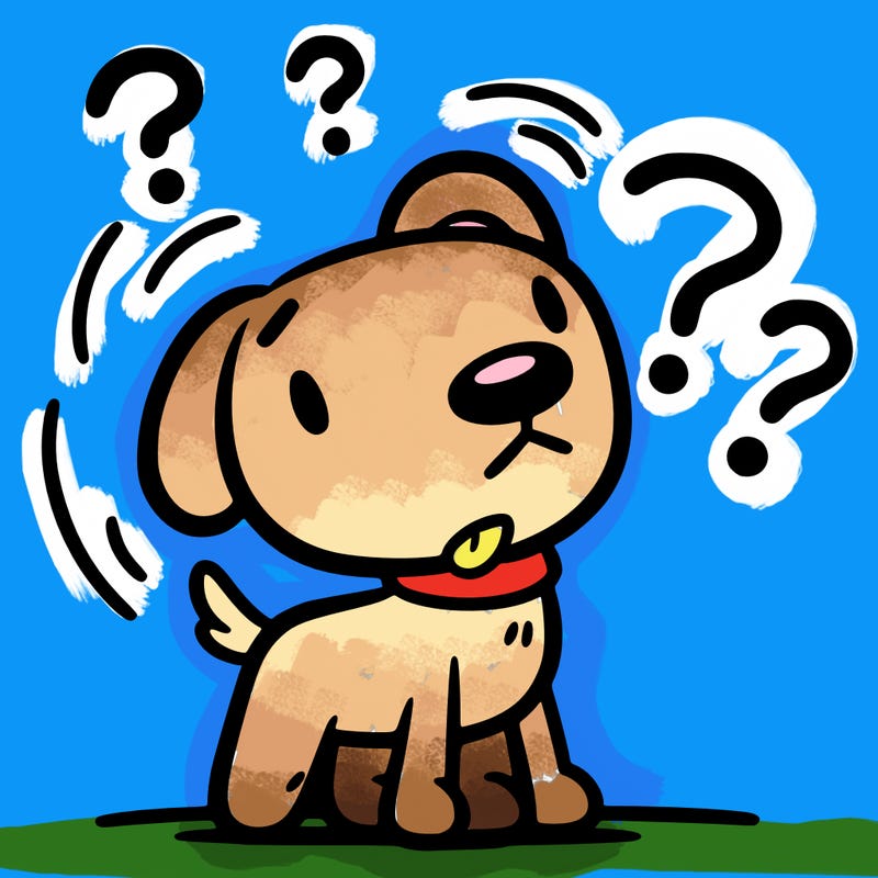 a dog that is turning it’s head because it is confused