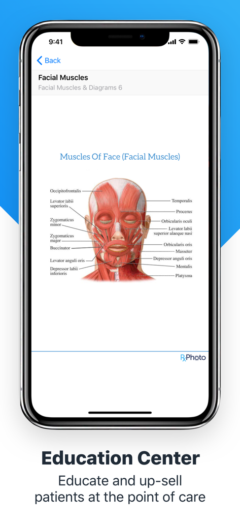 Diagrama anatômico dos músculos faciais no Centro de Educação RxPhoto para consultas médicas com pacientes