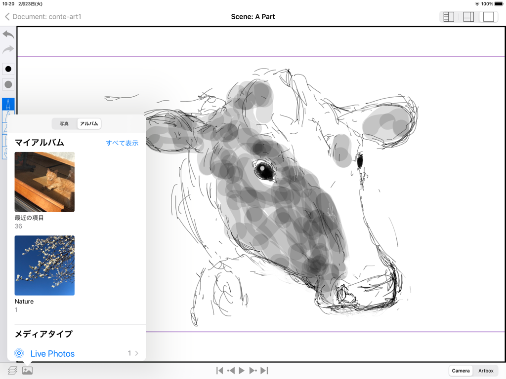 e-Conte Board - A cow sketch on the e-Conte Board storyboard app for iPad with a photo selection menu open