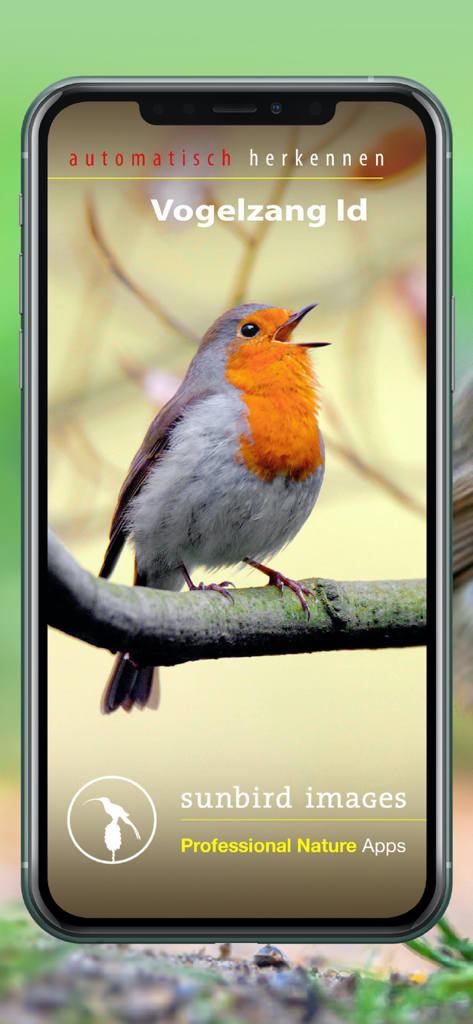 Schermata principale dell'app Vogelzang Id Nederland con un pettirosso che canta