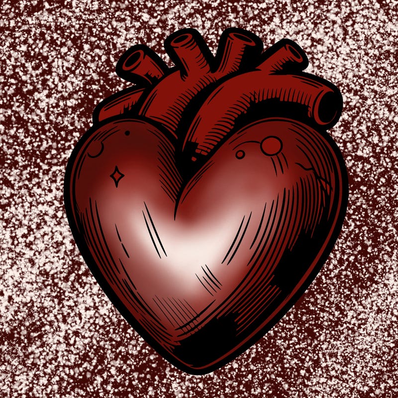 realistic heart