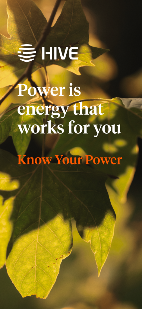 Hive app promotional screen with the slogan Power is energy that works for you