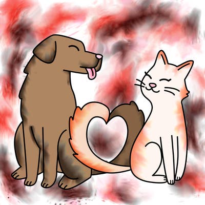 animals_22